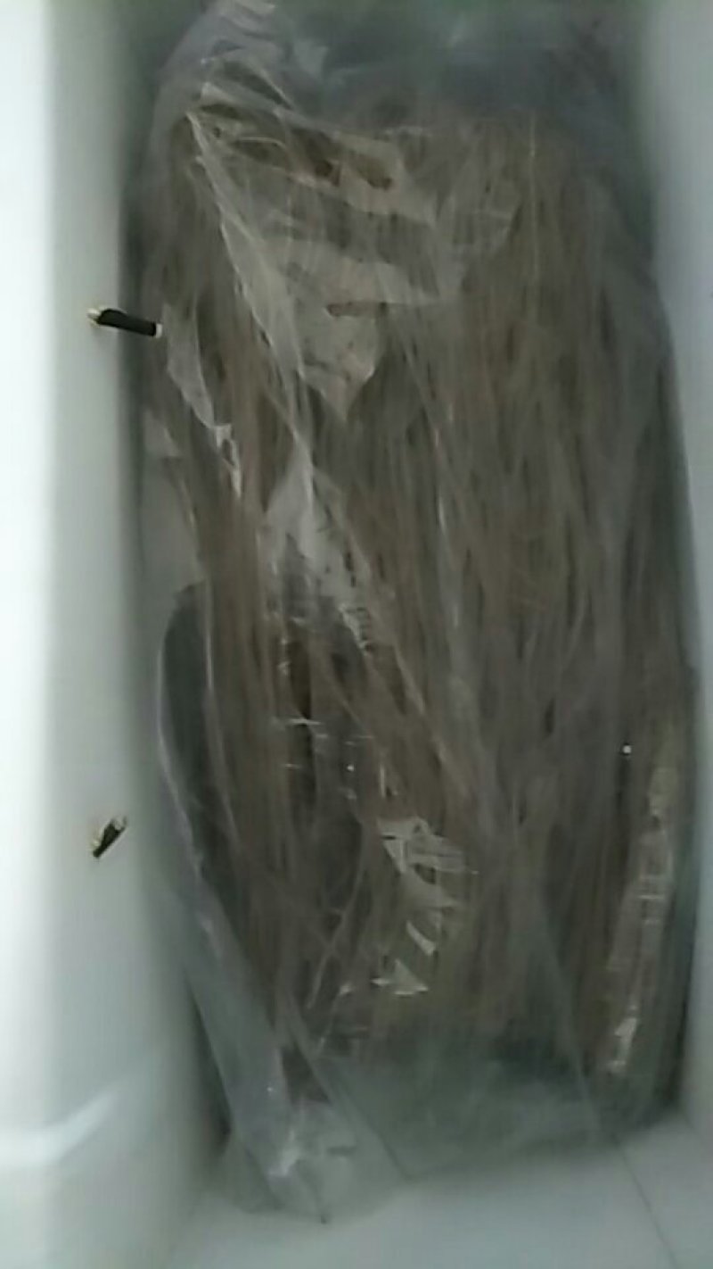 刘井纯红薯粉丝