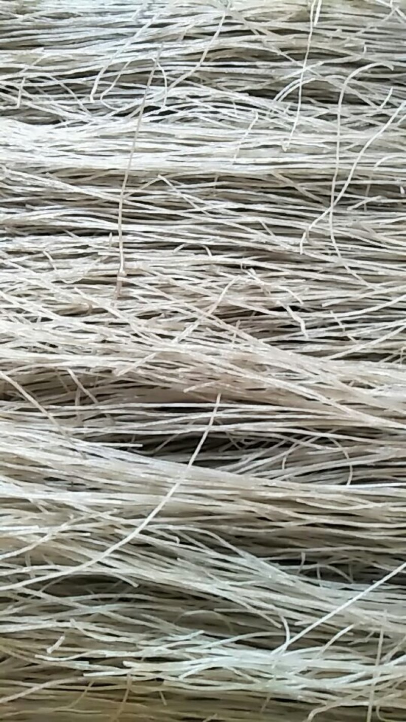 刘井纯红薯粉丝