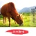 牛肉丸子，200g*2每袋200克包邮