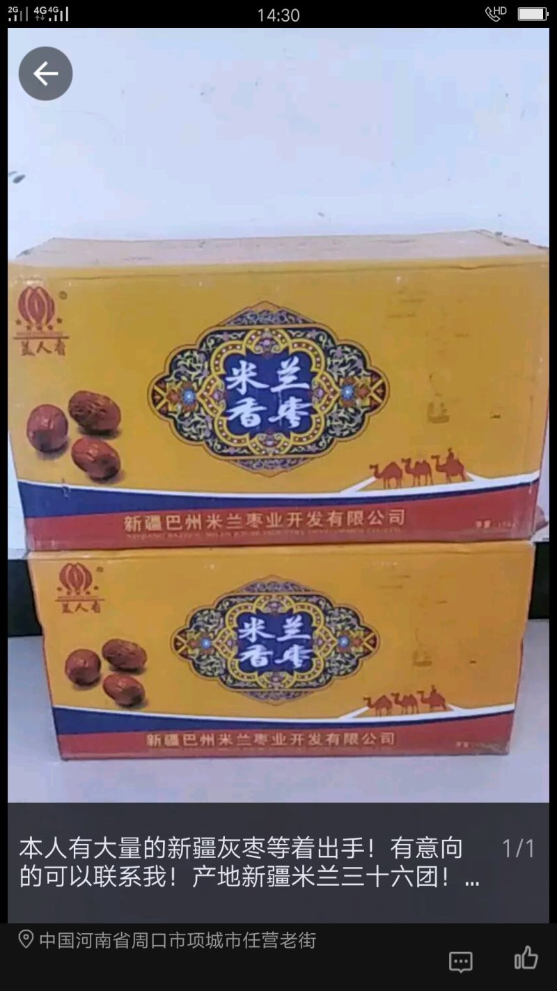 新疆灰枣枣干