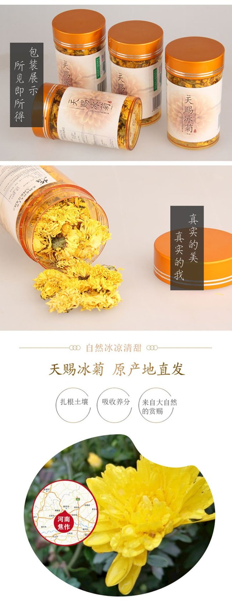 天赐冰菊，菊花茶，一朵一杯25克装批发