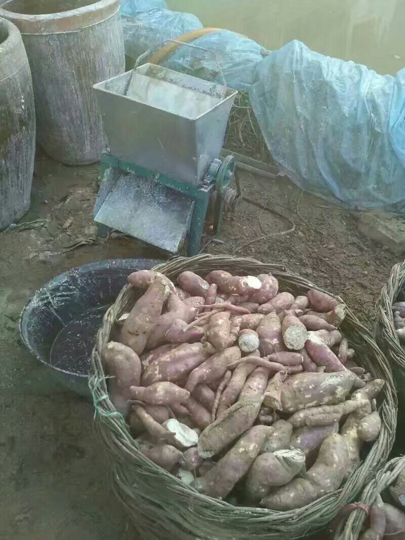 红薯粉条
