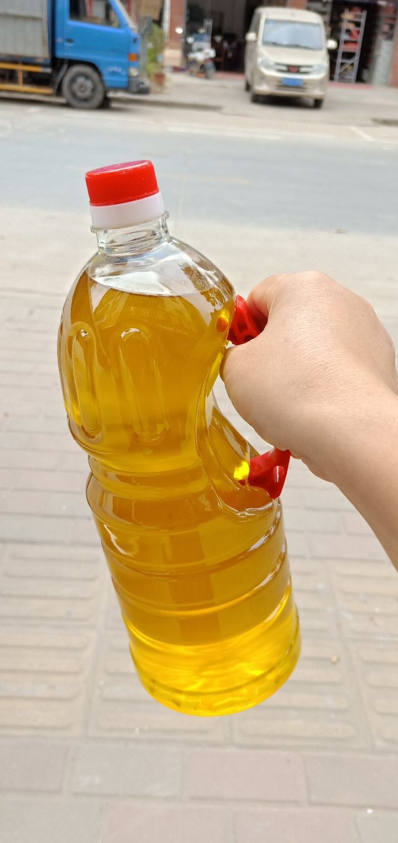 野生山茶油