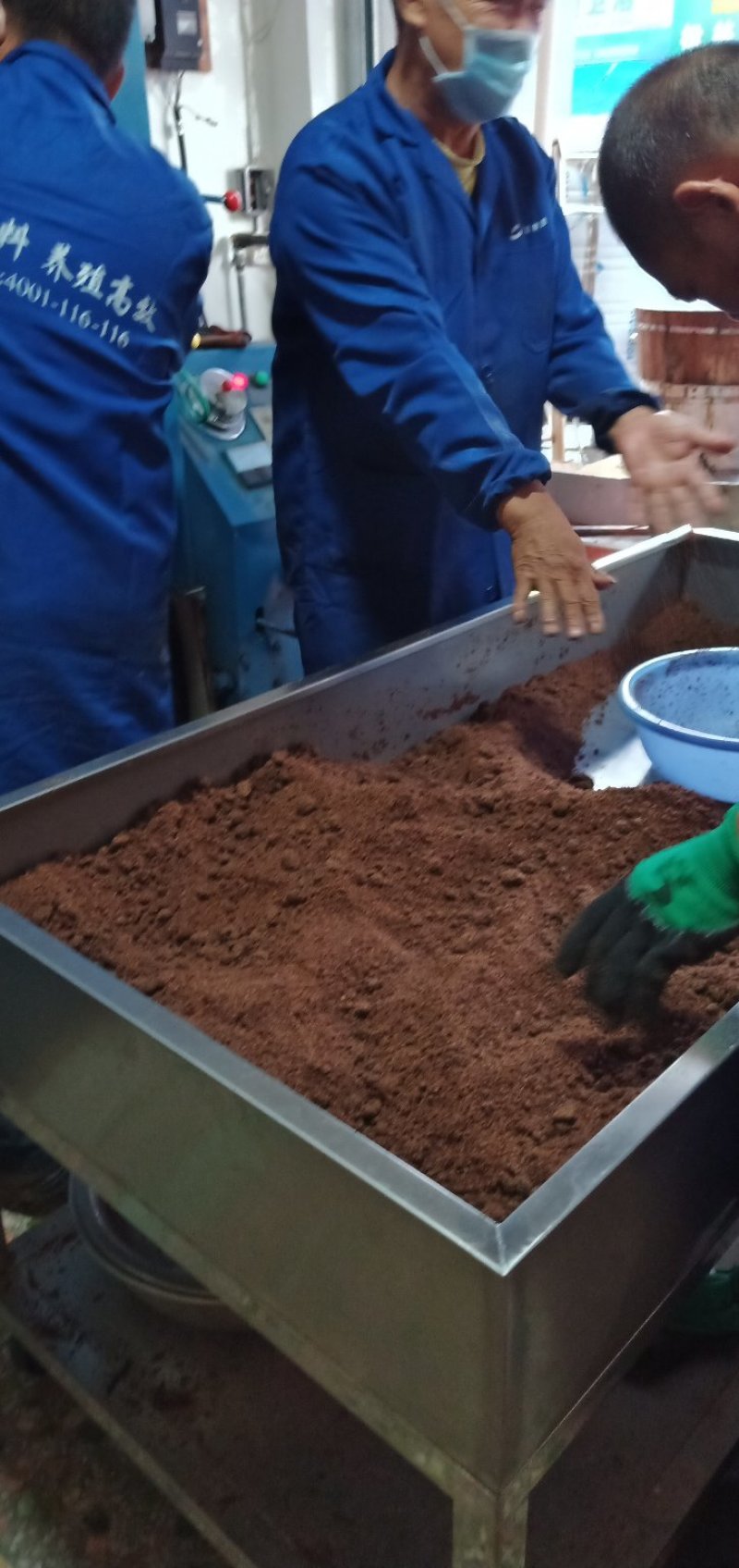 野生山茶油
