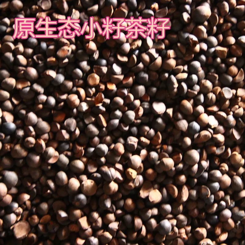 野生山茶油
