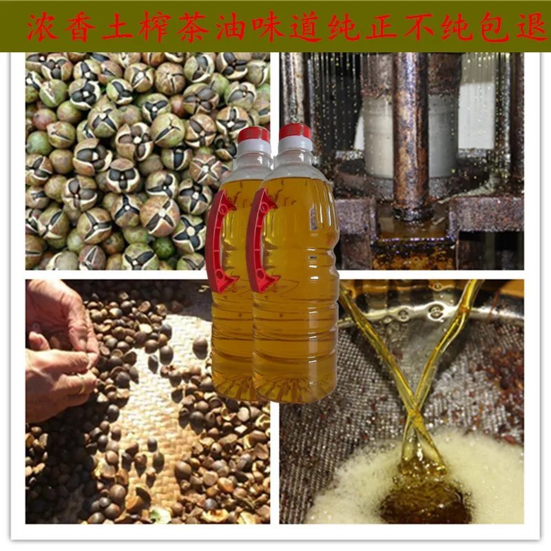野生山茶油