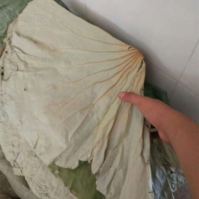 荷叶粉河南批发各种规格中药材