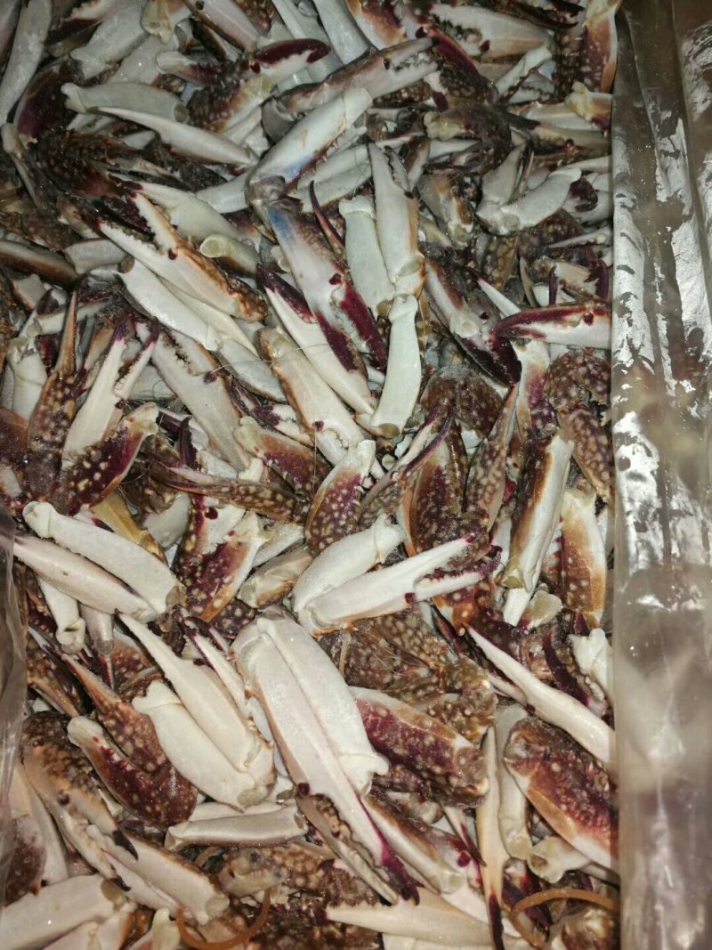 蟹腿梭子蟹蟹脚新鲜蟹钳鲜活海蟹鲜活梭子蟹海鲜批发