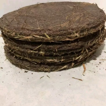 闽南茶枯供应大厅，量多价优。古老的茶籽油与茶枯欢迎新老顾