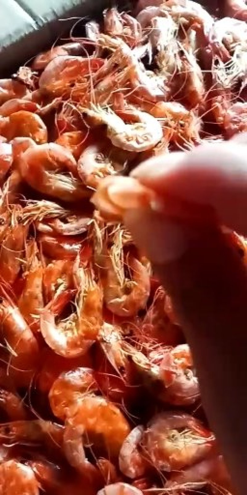 自己家的无盐烤虾