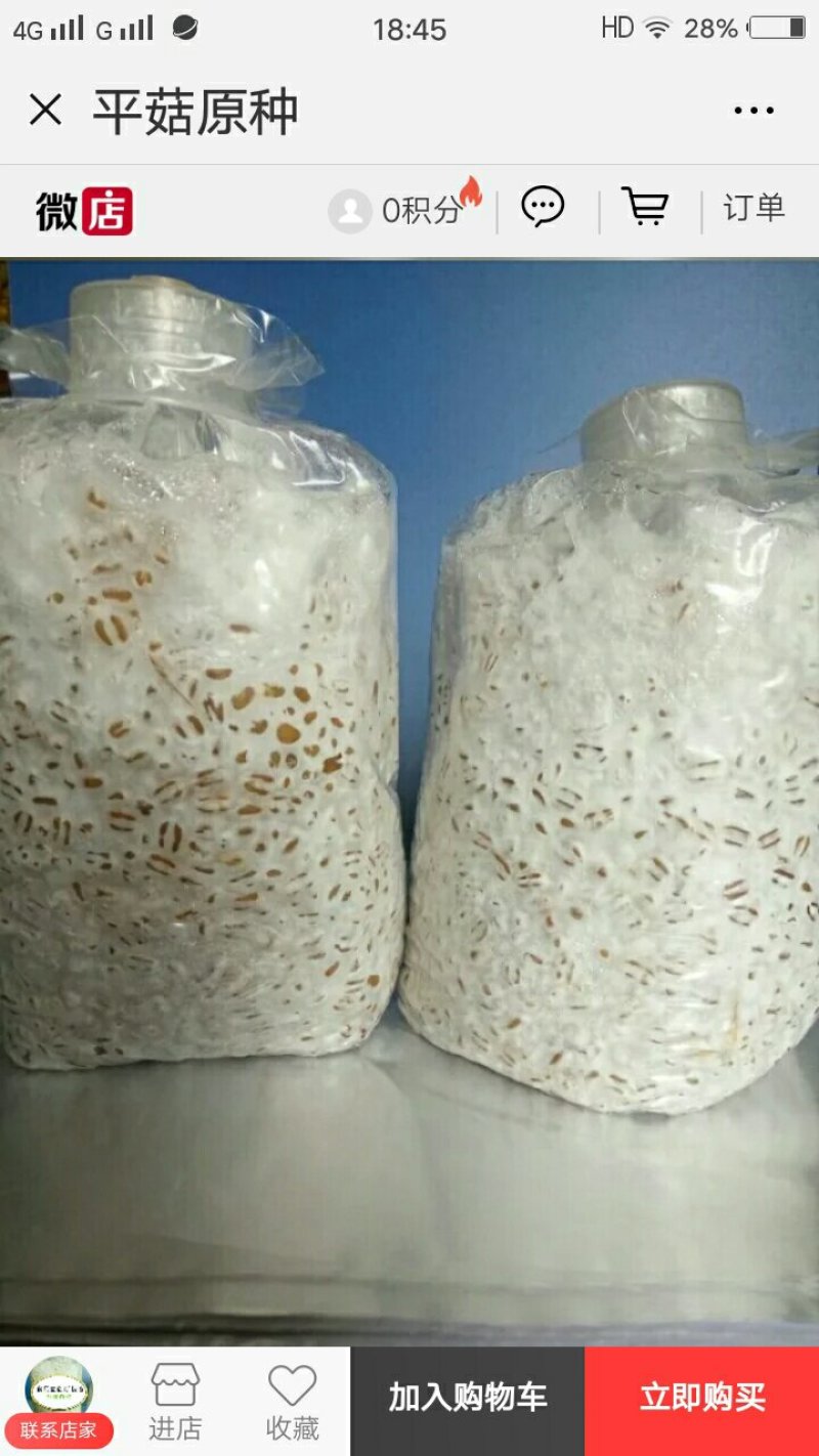 常年出售平菇香菇灵芝菌种出售平菇鲜蘑