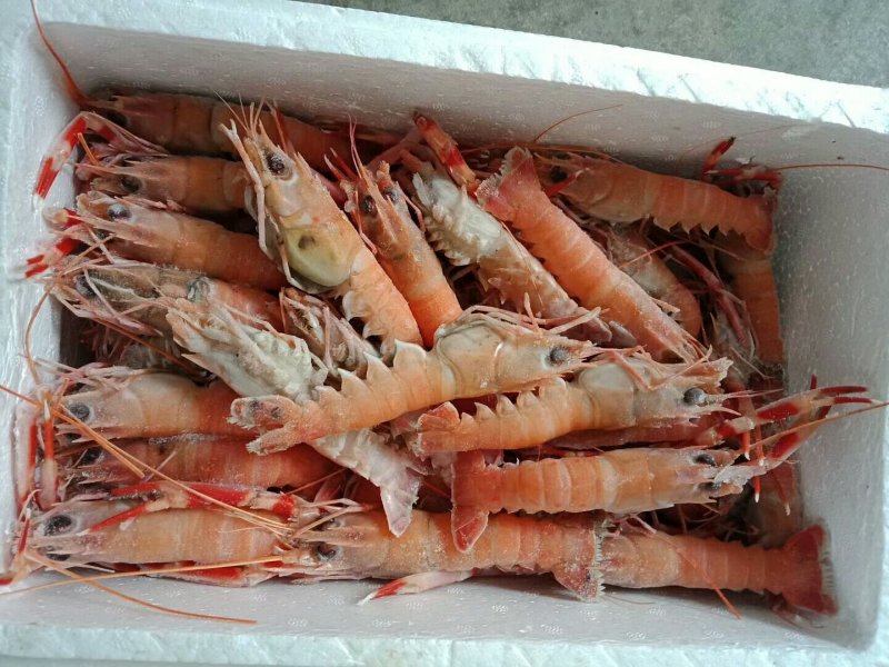 海螯虾冻货