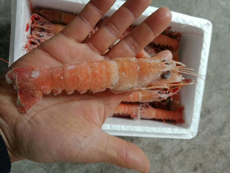 海螯虾冻货