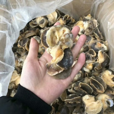 干冰无沙螺肉
