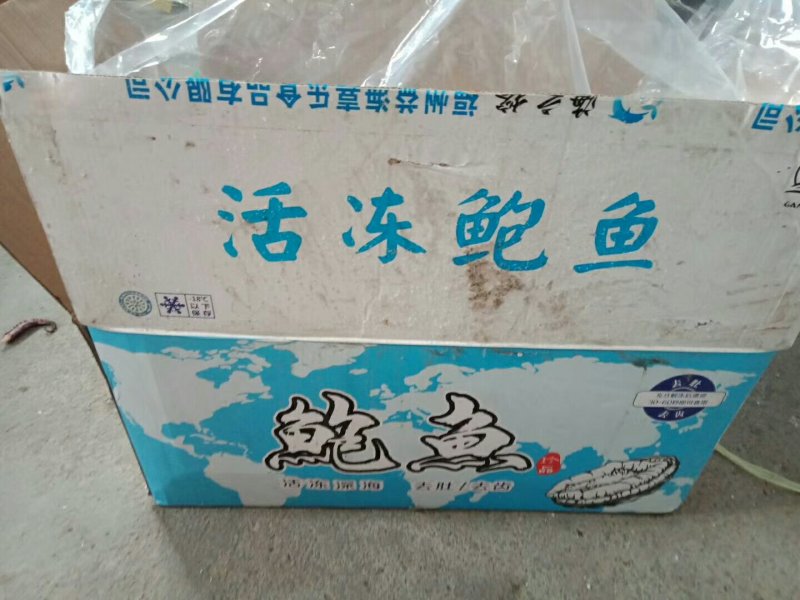 活冻鲍鱼