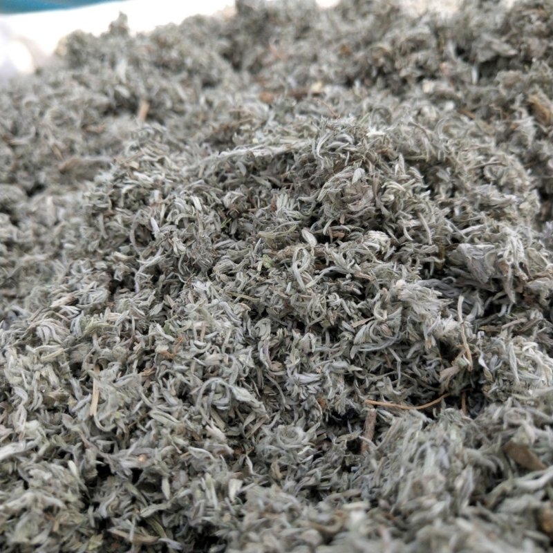 茵陈安徽批发各种规格中药材