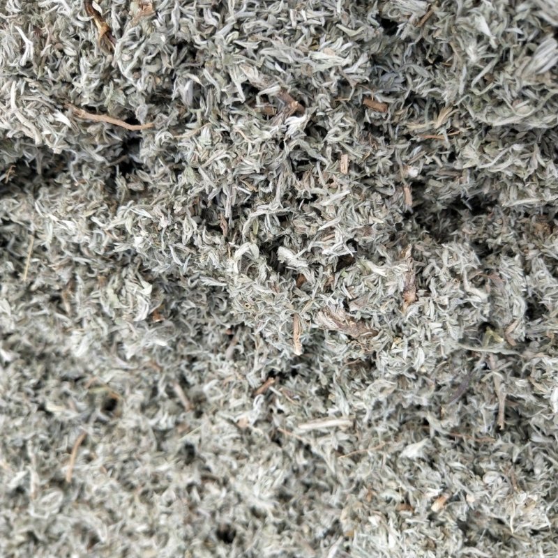 茵陈安徽批发各种规格中药材