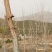 荒山