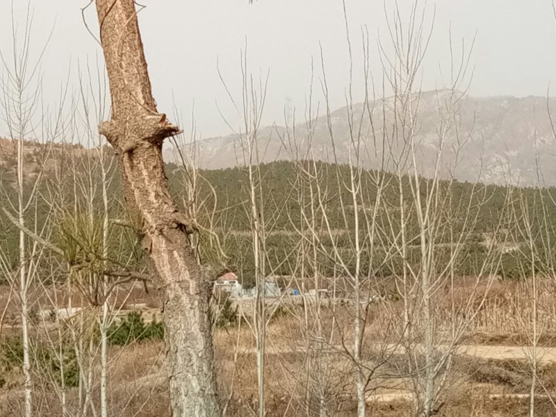土地
