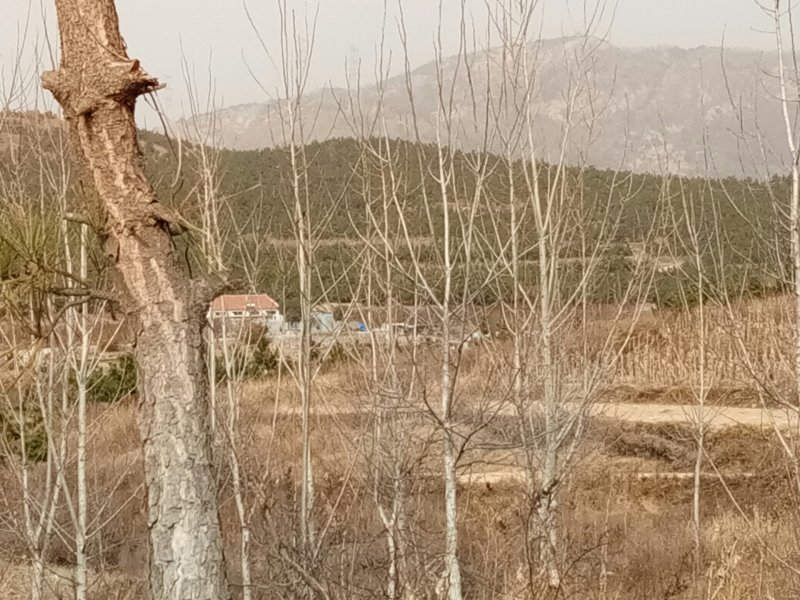 土地