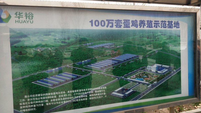 （热销）发酵腐熟纯羊粪有机肥厂家直销果蔬用肥全国发货