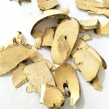 黄花倒水莲广西批发各种规格中药材