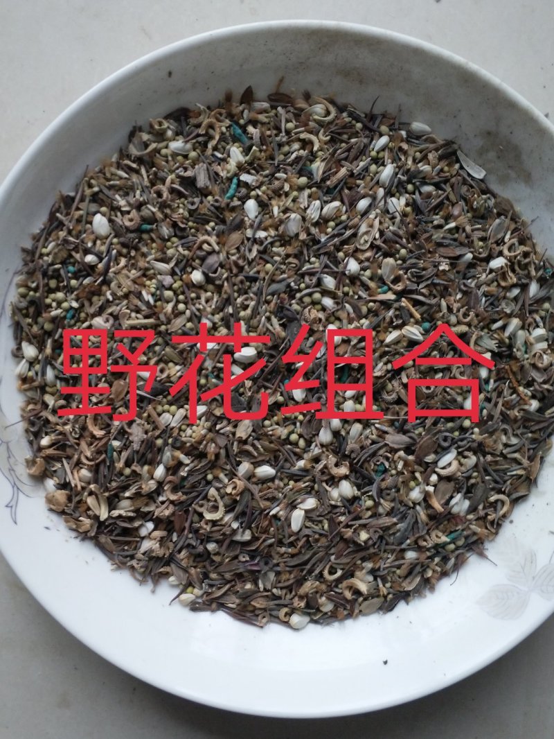 野花组合种子