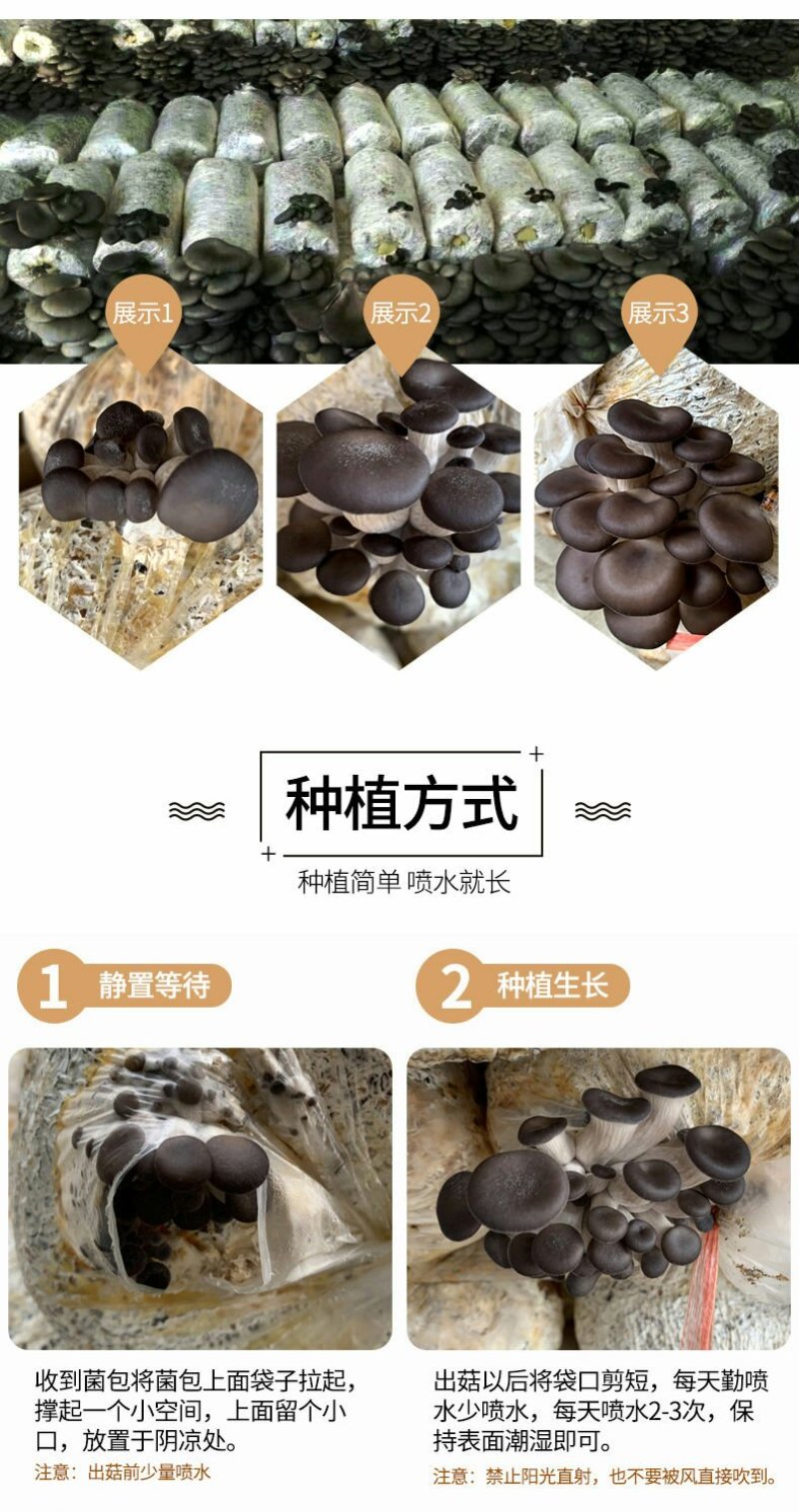 蘑菇菌包
