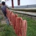 农村猪肉香肠