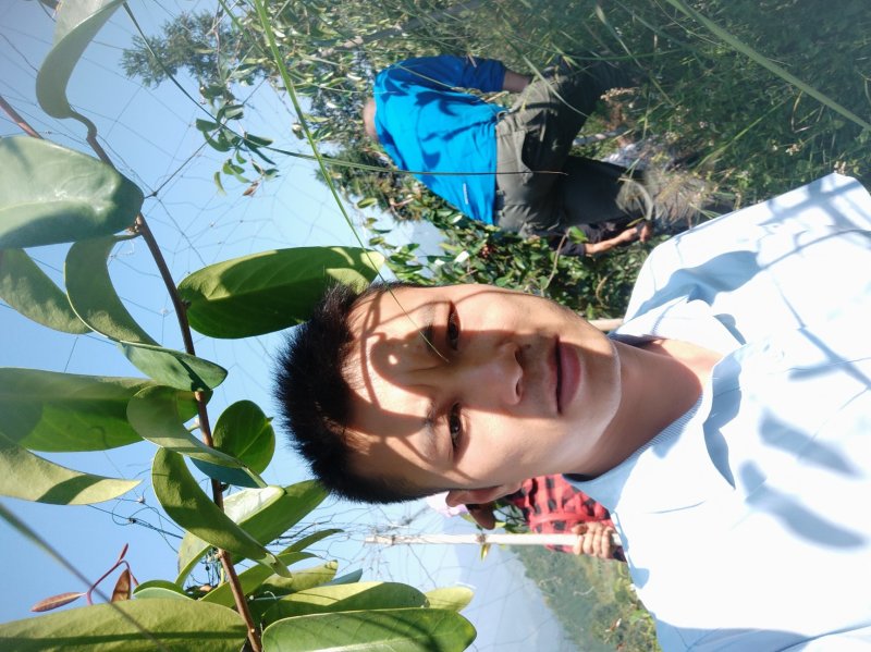 布福娜