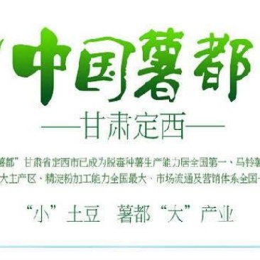 洋芋粉，质量绝对没问题。
