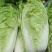 白菜，新品种，黄心菜5-8斤
