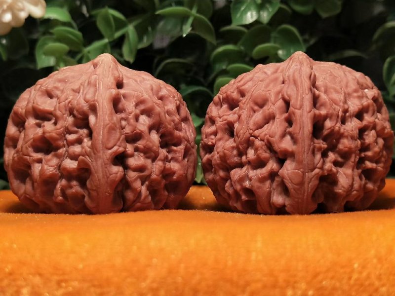 编号819号精品小众水龙纹狮子头，边41-41肚42-