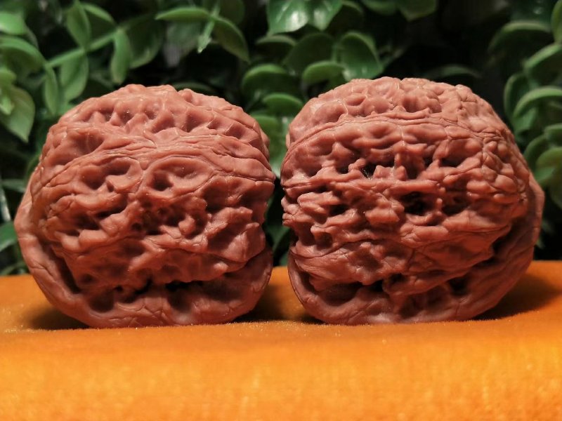 编号819号精品小众水龙纹狮子头，边41-41肚42-