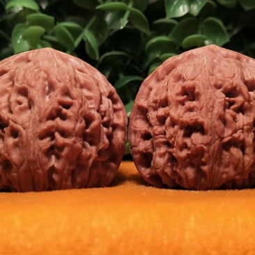 编号819号精品小众水龙纹狮子头，边41-41肚42-