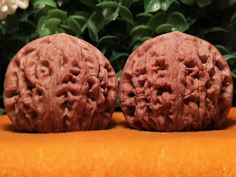 编号819号精品小众水龙纹狮子头，边41-41肚42-