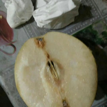 特价雪花梨，物美价廉，大量有货，需要的老板联系我！