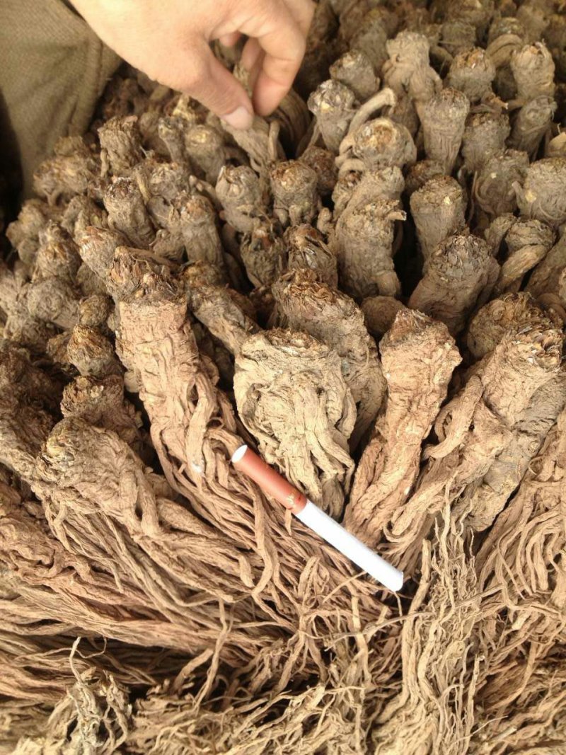 道地岷县当归，党参，黄芪，一手货源农民自产自销。