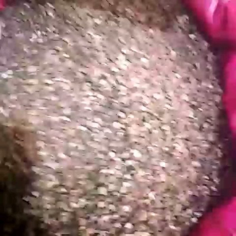 花椒