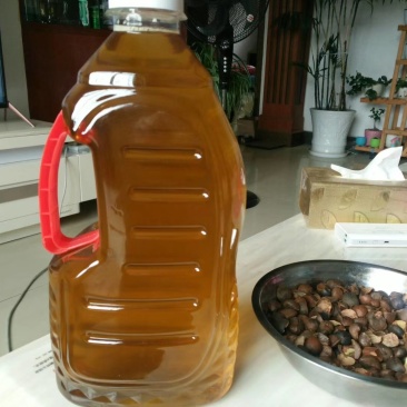 现榨山茶油，