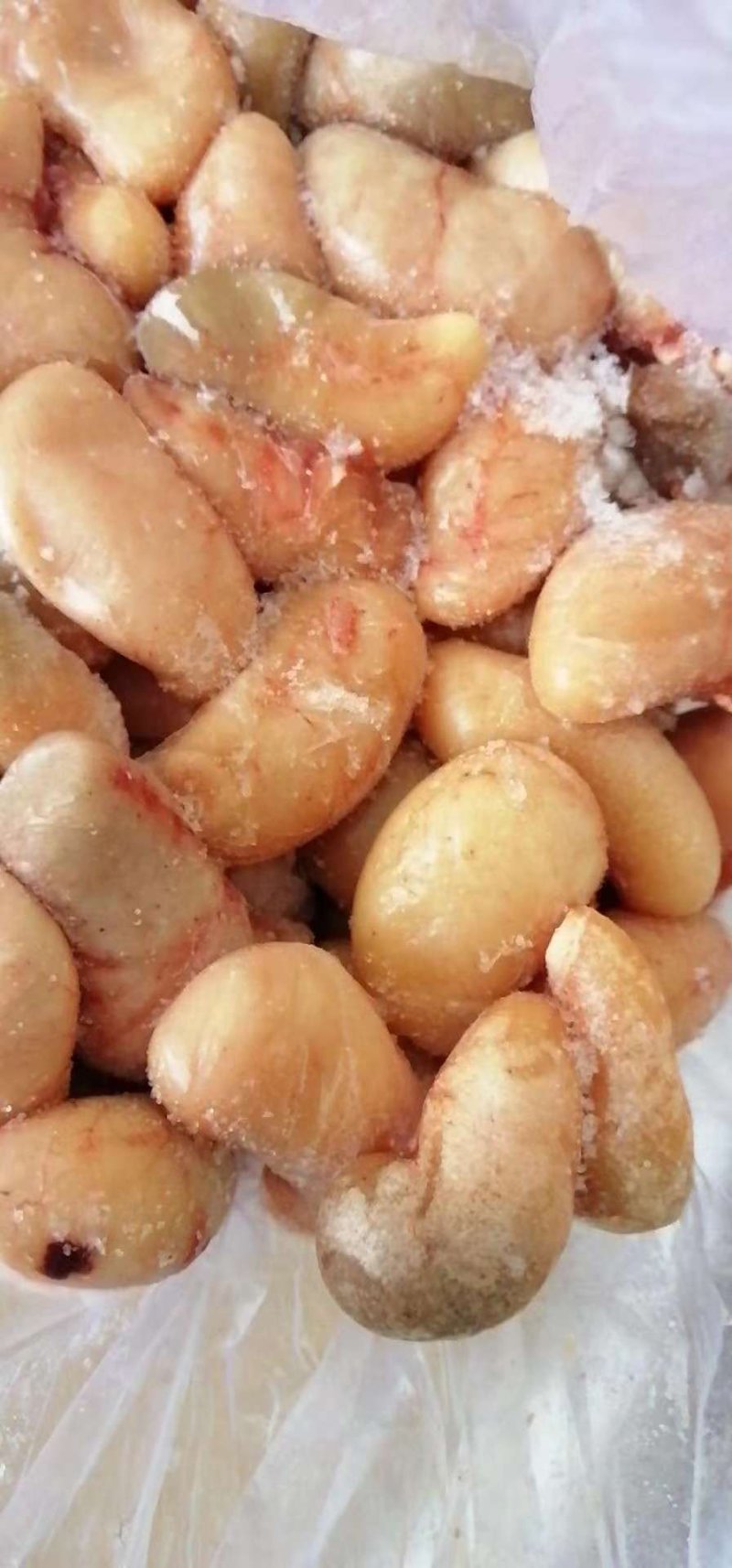 土鸡子