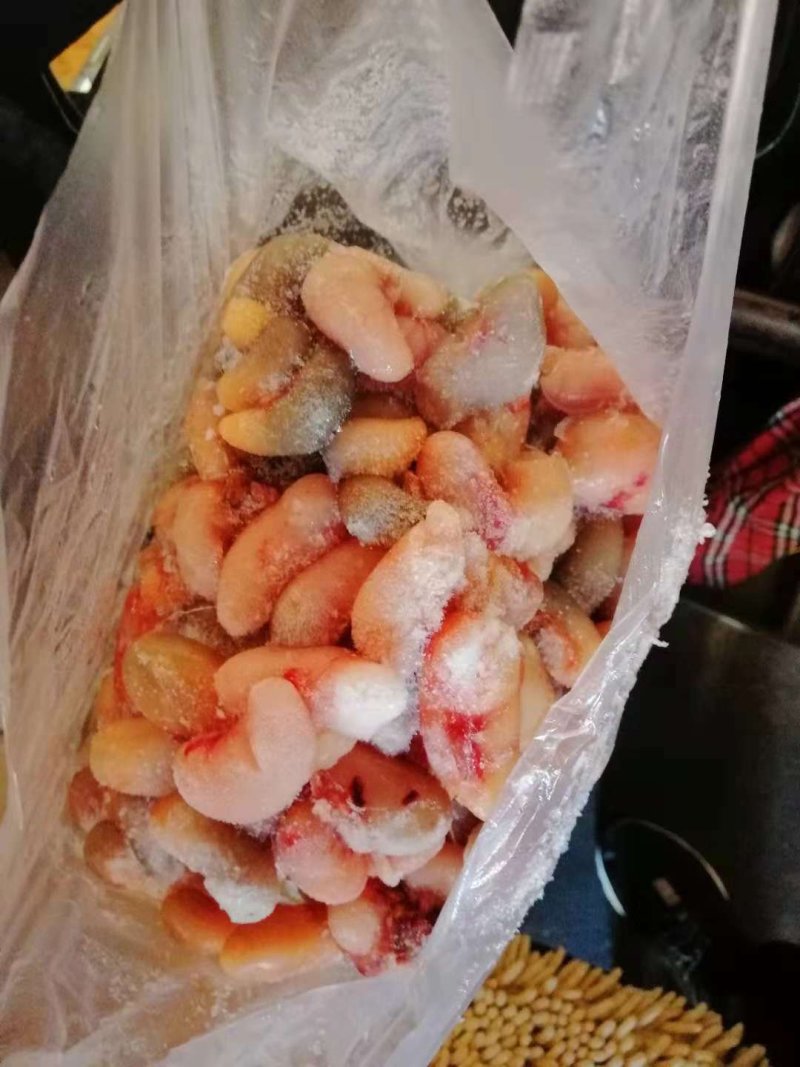 土鸡子