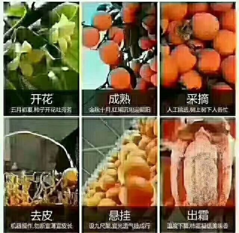 浆果类