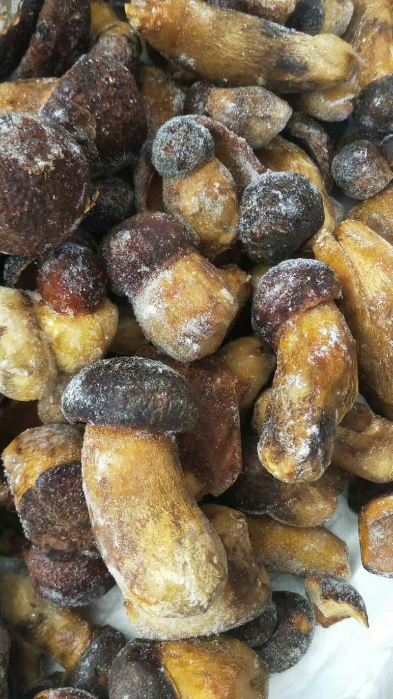 黄牛肝菌冻品批发零售