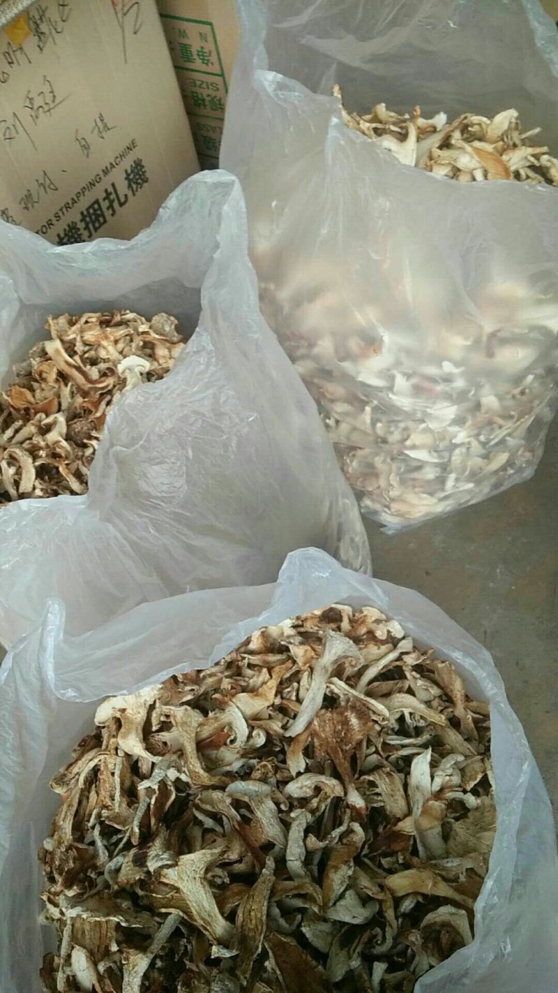 云南特产老人头干片老家产地货源大量供应