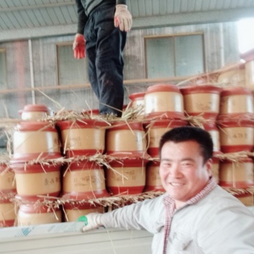 杂货花盆批发↖