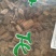 荷梗