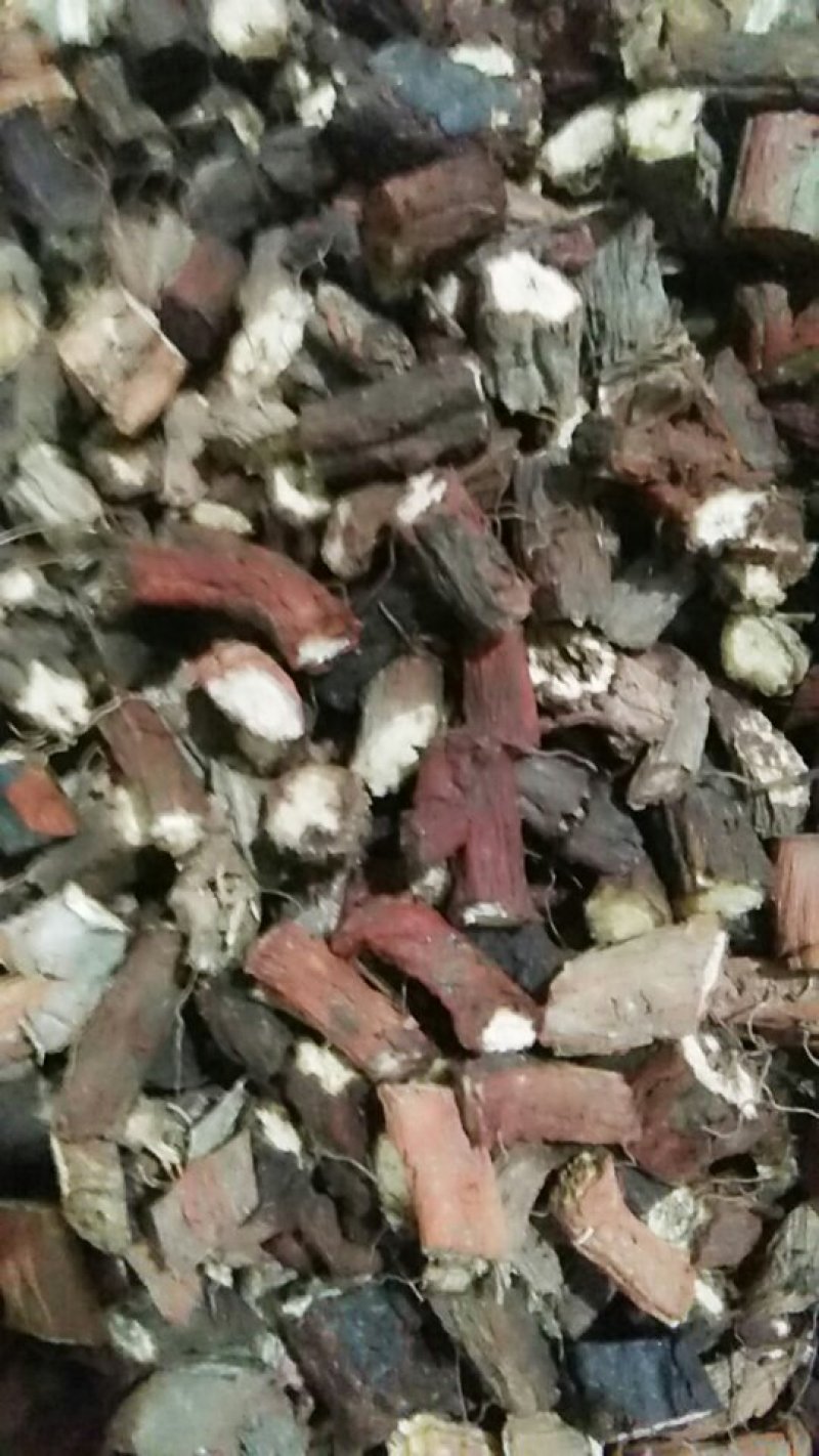水洗野生丹参，丹参大条，手工剪的丹参片，无硫，无添加。