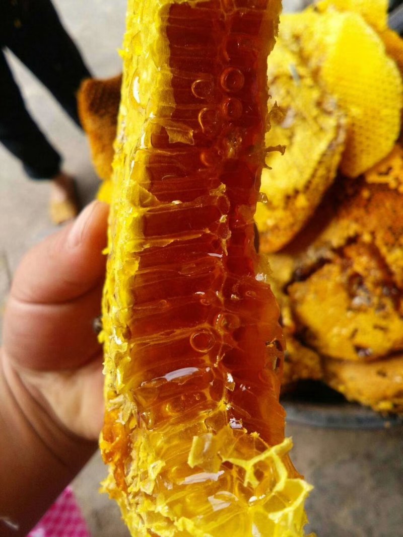 野生蜂蜜