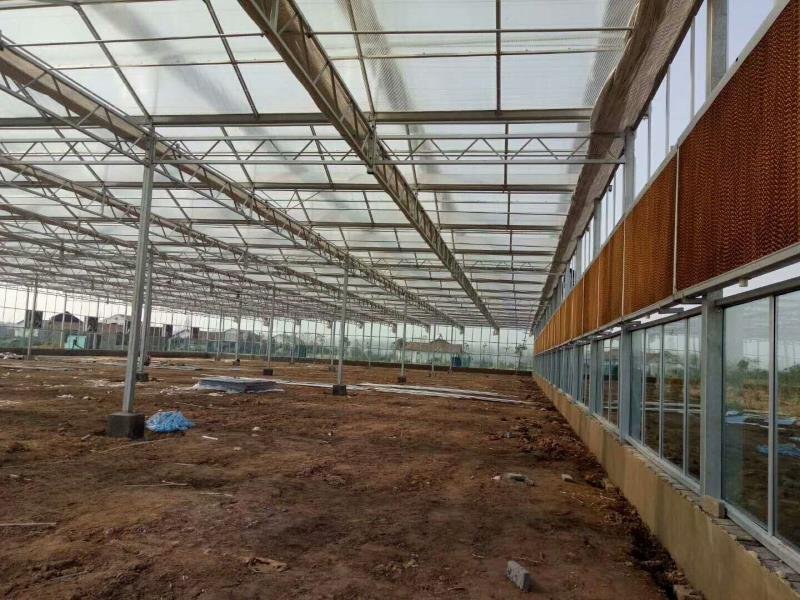 承建各种温室大棚欢迎咨询